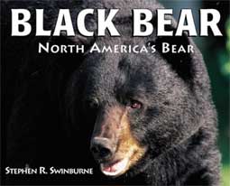 Black Bear - North America's Bear cover