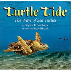 Turtle Tide cover
