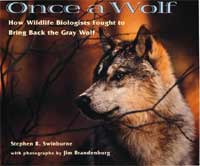 Once a Wolf cover