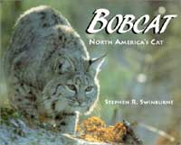 Bobcat, North America's Cat cover