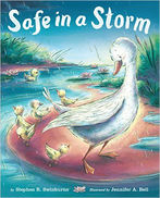 Safe in a Storm Book Cover